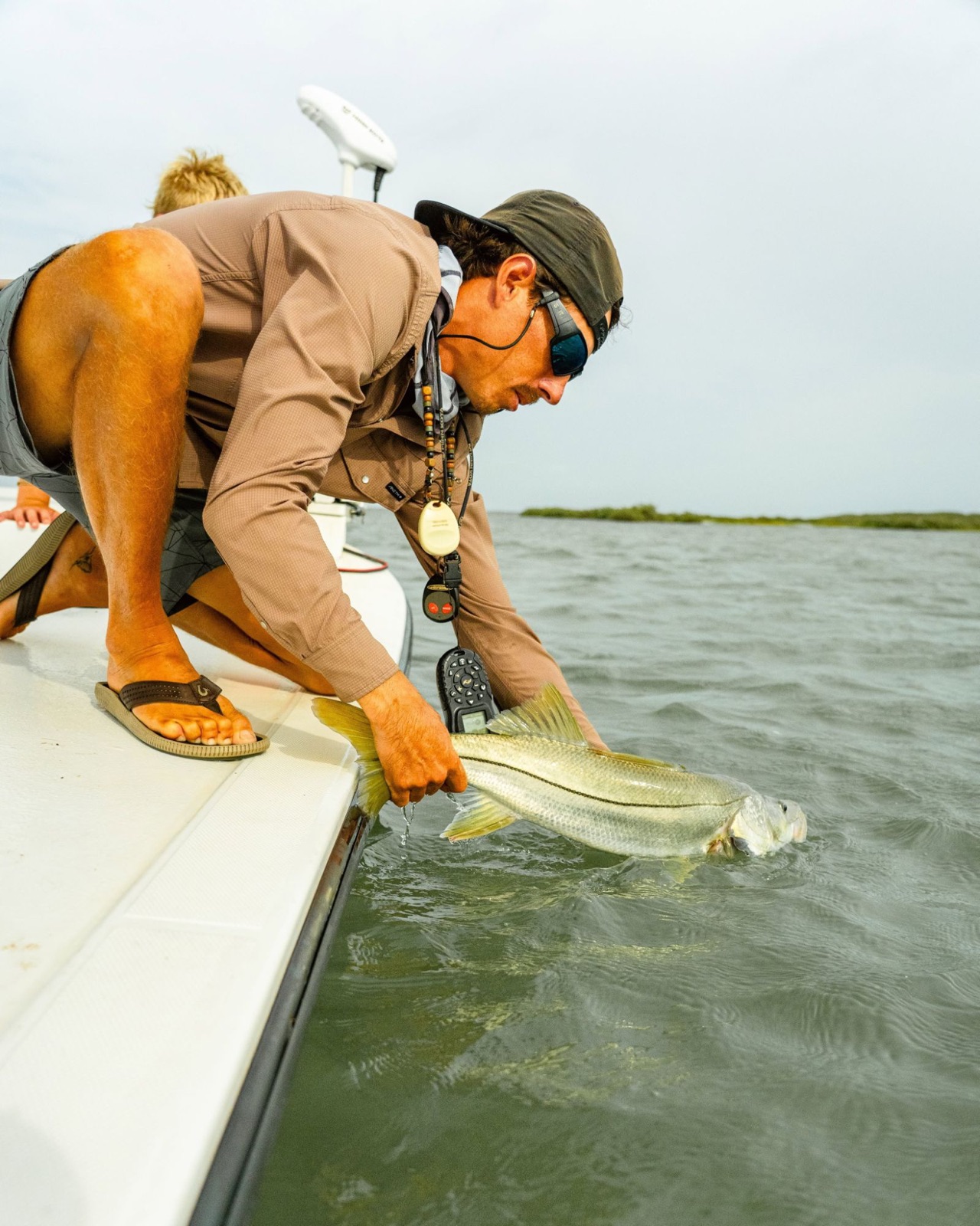 Releasing a snook over the side of the boat