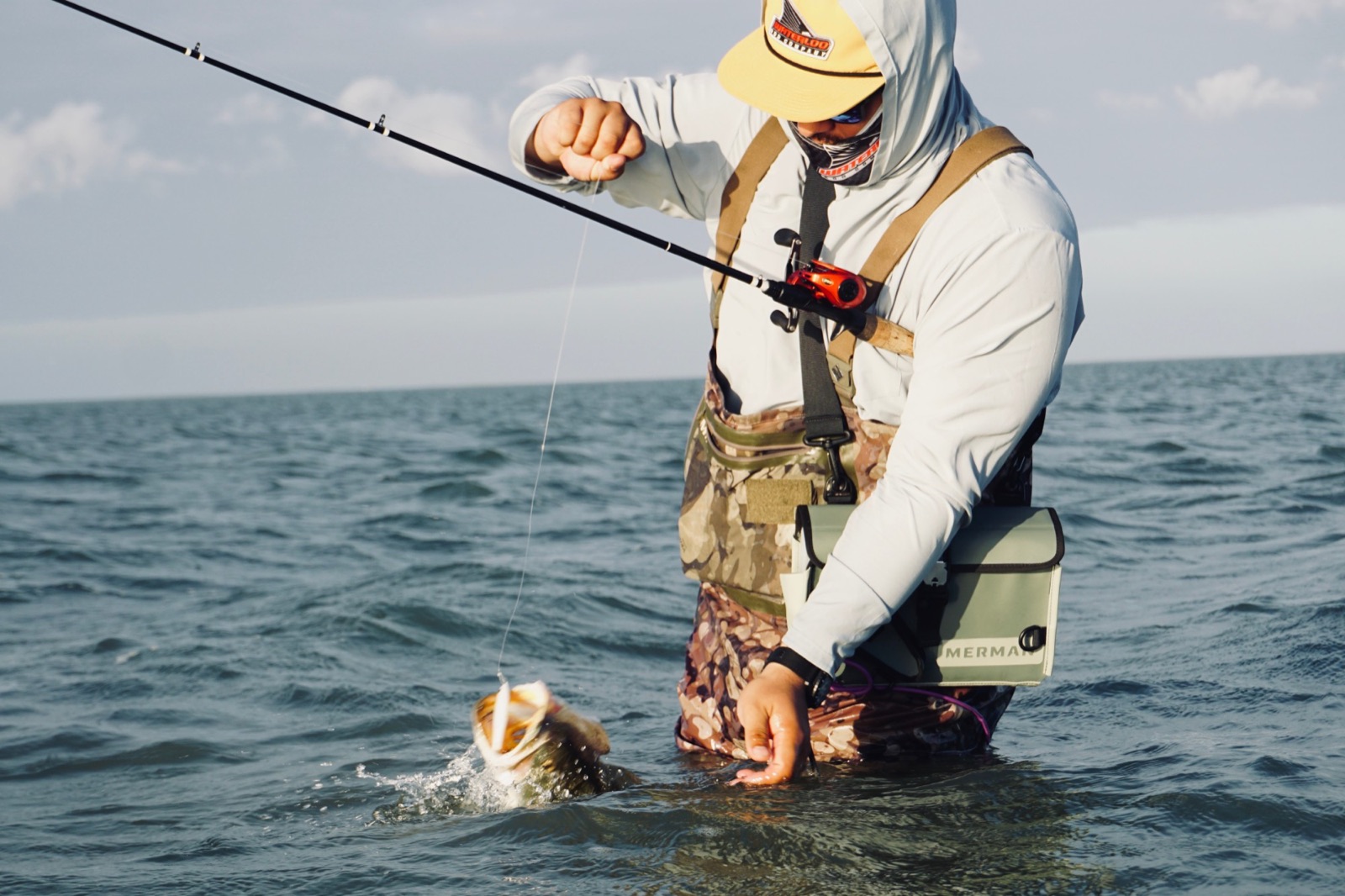 Hooded angler landing a fish while wade fishing