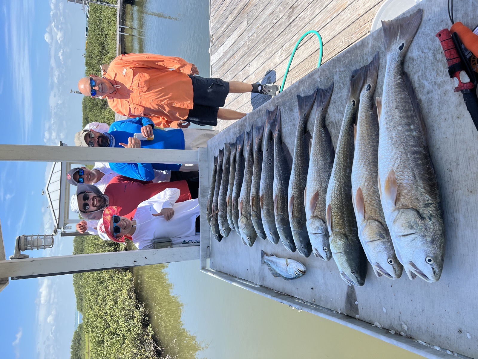 Group on the dock with a catch of redfish and trout