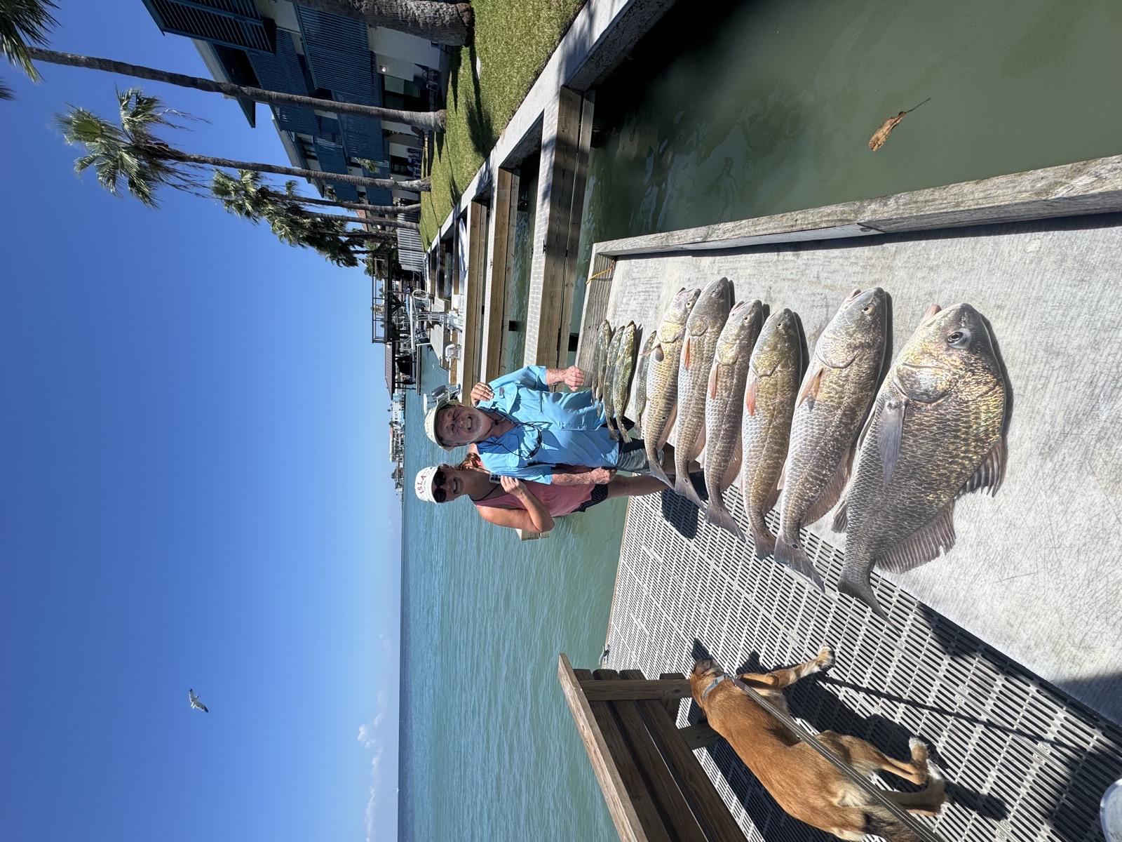 Anglers on the dock with a big catch of redfish